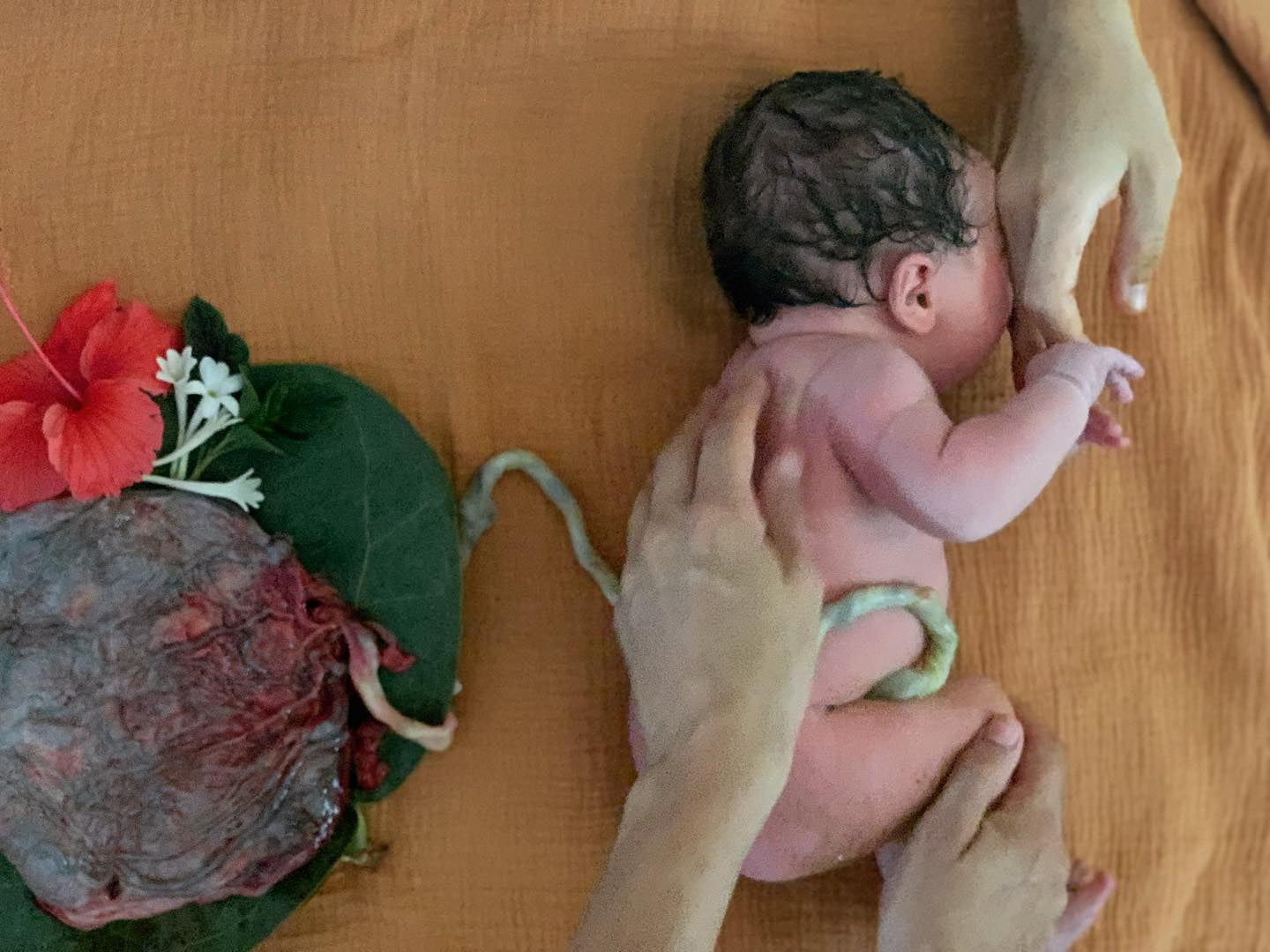 Acompañamiento en la Maternidad – Gestación, Parto y Posparto