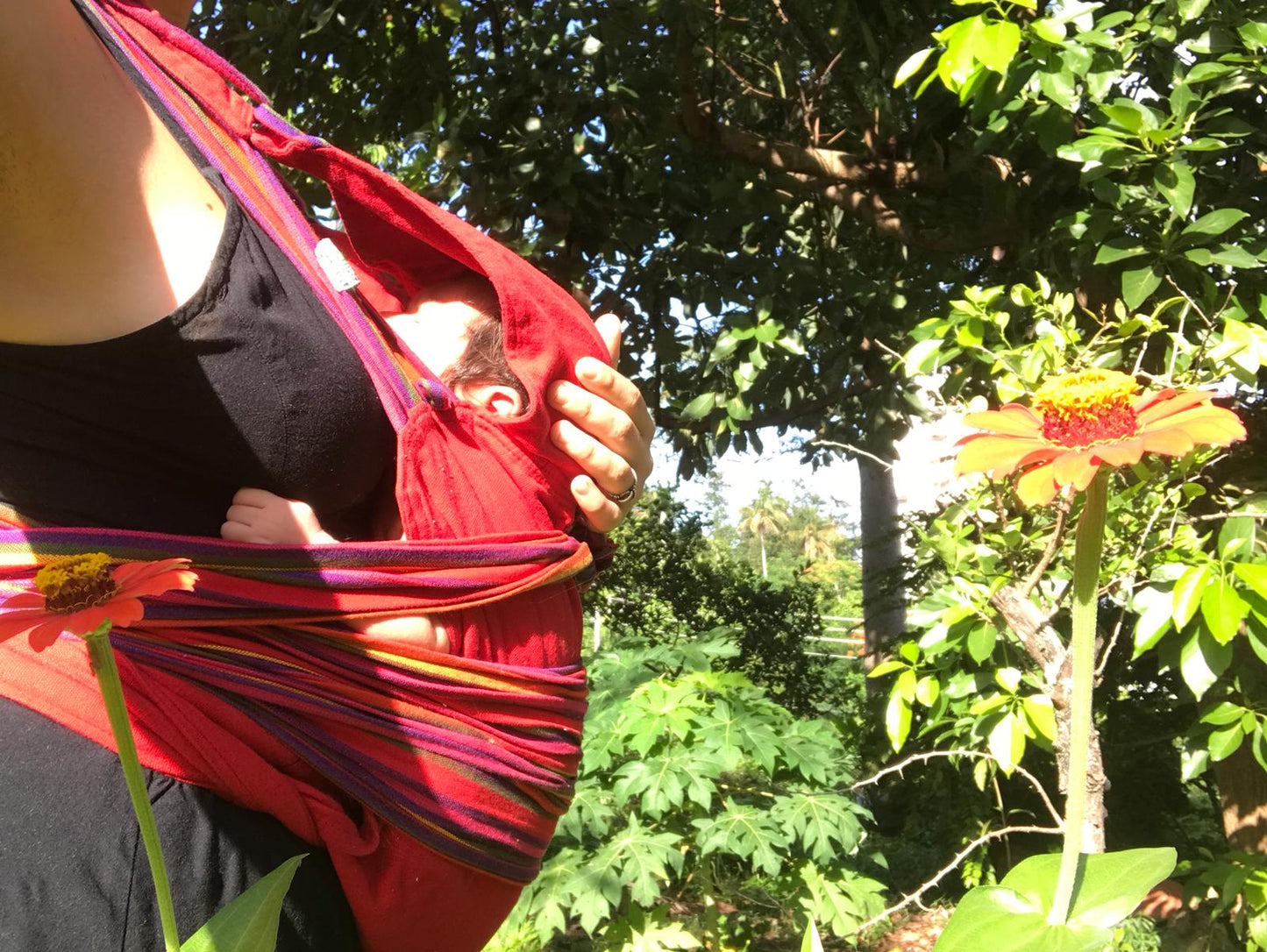 Acompañamiento Gestación Parto y Posparto